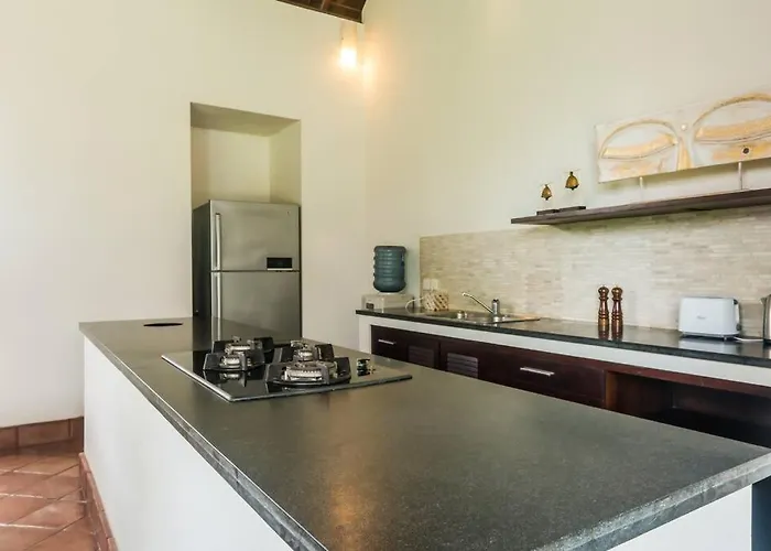Tilu-spacious And Serene 3 Bedroom In Canggu