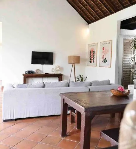 Villa Tilu-spacious And Serene 3 Bedroom In Canggu